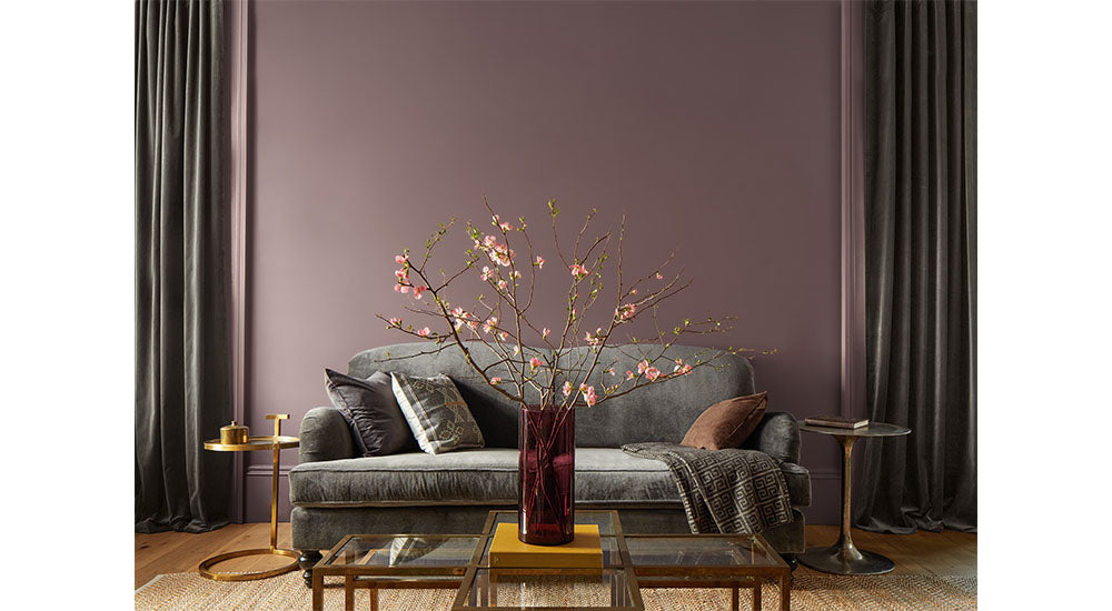 Interior/Exterior (Benjamin Moore Paint)