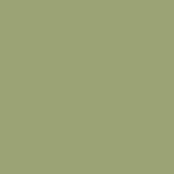 CSP-840 Barefoot in the Gras...