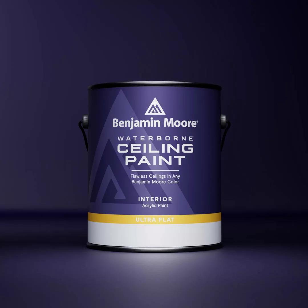 Waterborne Ceiling Paint 508